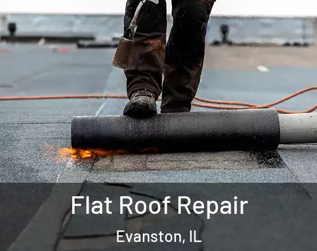  Flat Roof Repair Evanston, IL