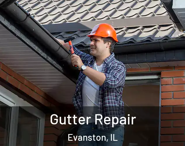  Gutter Repair Evanston, IL