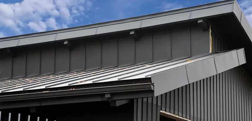 Professional Roof Eaves Installation Services in Evanston, IL