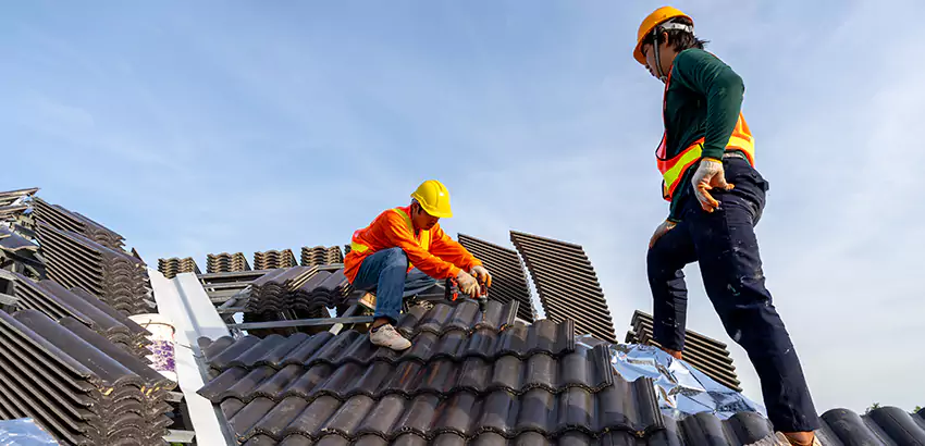 Professional Roofing Services in Evanston, IL
