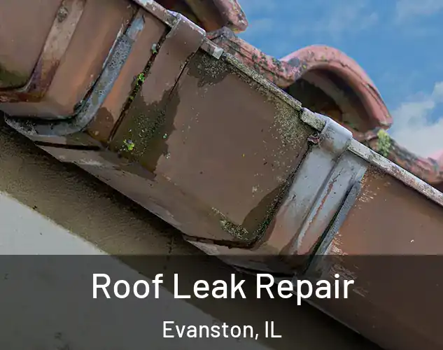  Roof Leak Repair Evanston, IL